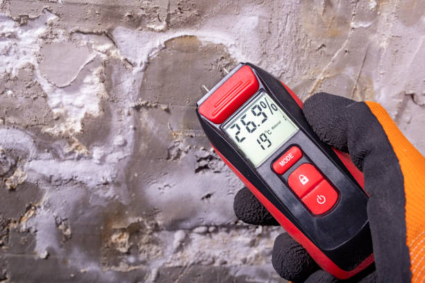 Best Mold Removal and Inspection  in New Hempstead, NY