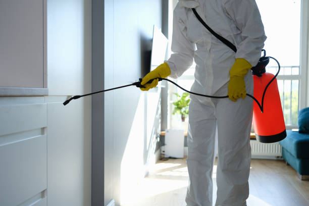 Best Office Mold Removal Services  in New Hempstead, NY