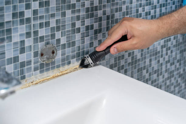 Best Home Mold Removal  in New Hempstead, NY